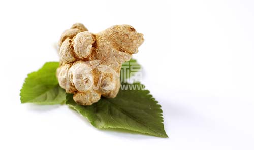 三七的效用有哪些？
