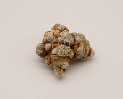 三七粉能長(zhǎng)期吃嗎？是否有副作用？