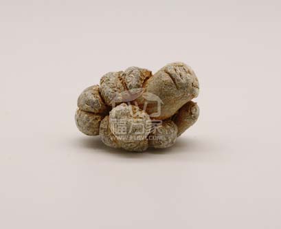 三七粉哪里買？