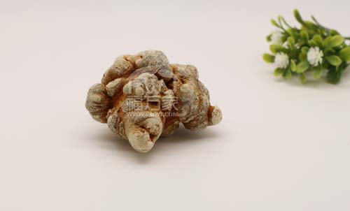 三七的效用為什么對(duì)風(fēng)濕痛有用？