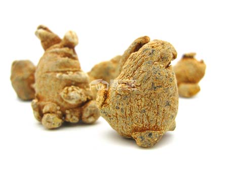 三七粉的藥用價值高不高？