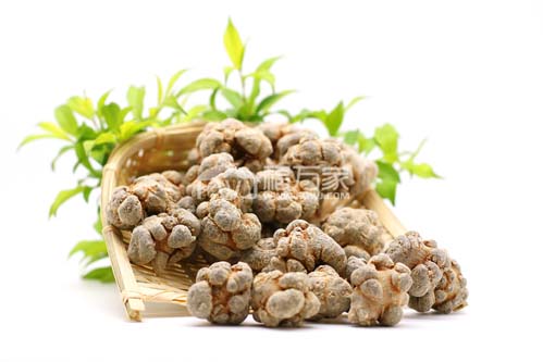 60頭三七功效怎么樣？
