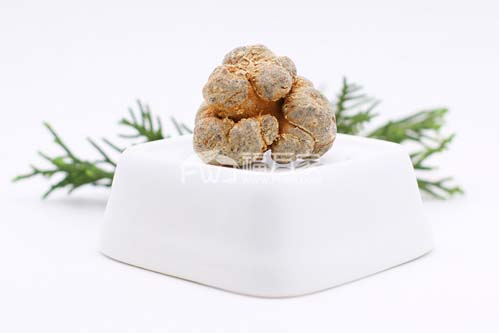 春三七好還是秋（冬）三七好？