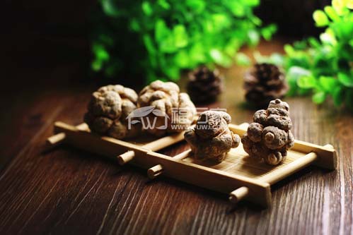 吃三七粉能吃蘿卜嗎？