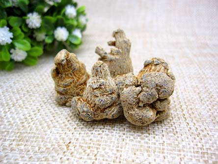 如何判斷三七的質(zhì)量、品質(zhì)的好壞？