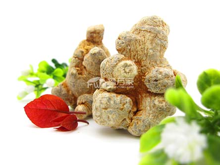 三七是大的好還是小的好？