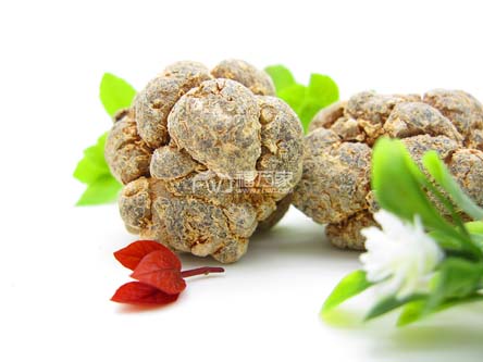 三七是大的好還是小的好？
