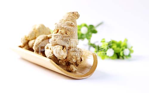東北產(chǎn)三七嗎？三七在北方能種嗎