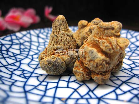 沒(méi)有變質(zhì)的三七